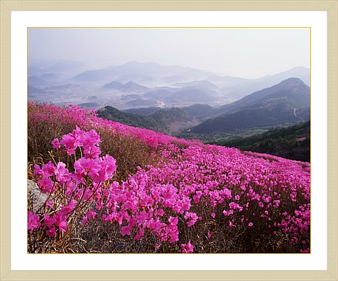 (주)좋은세상 좋은사람 이미지