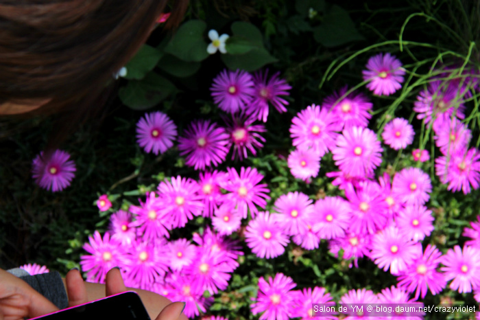 [유후인] 꽃이 피다