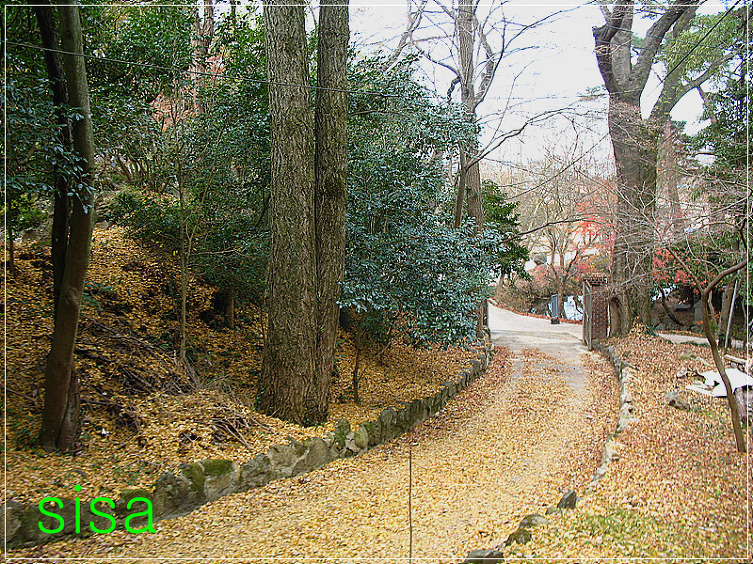 아름다운 반영...2009. 12. 8일