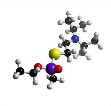 세상에서 가장 강한 독은 무엇일까? 그외 맹독의 종류..