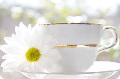 173B4C384D9549A122158A