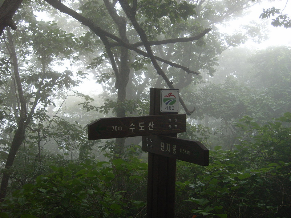 산행_김천 수도산