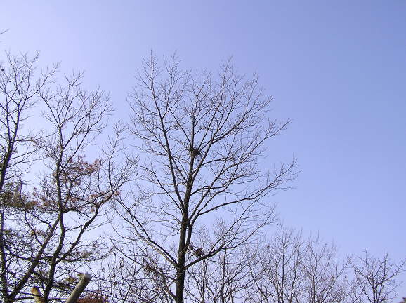 사랑하는 이유