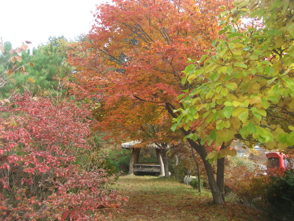 175C993E4EA41CB927804F