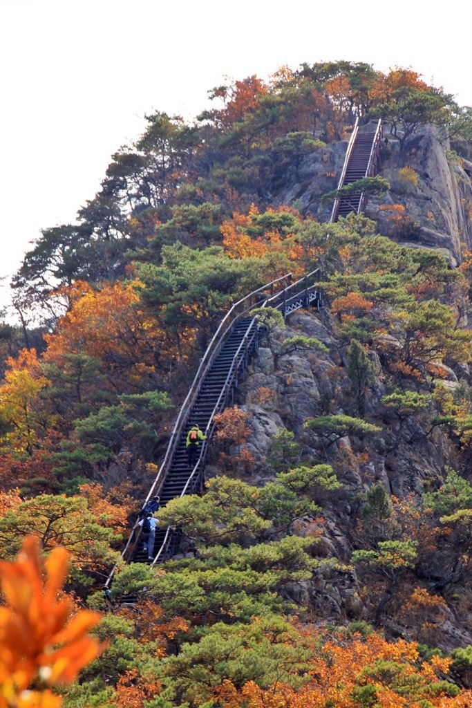 부산 가자 레저 산악회 | 2015년 10월31일(토) 충북 단양 제비봉~구담봉~옥순봉 산행 (단풍산행) - Daum 카페 2015년 10월31일(토) 충북 단양... 