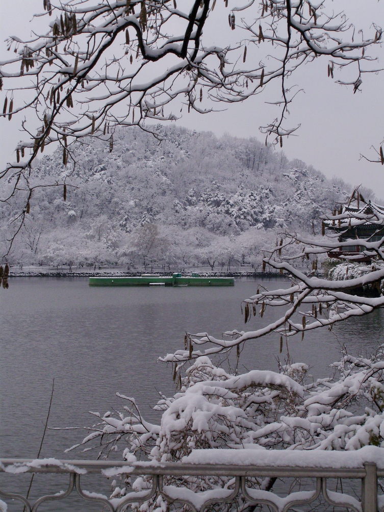 두류공원 이미지