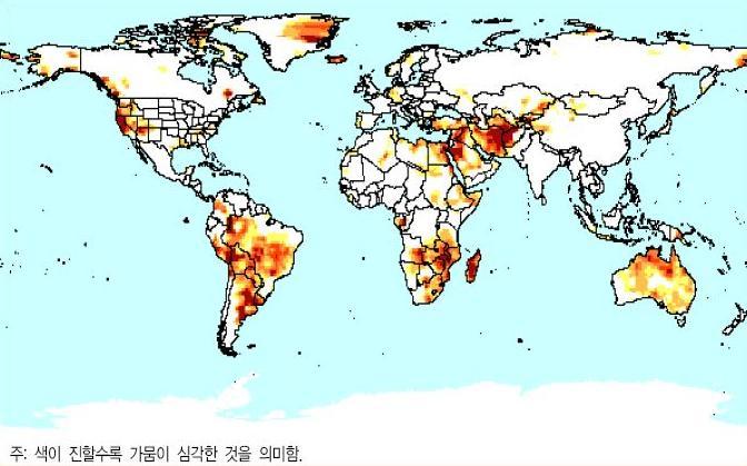 곡물이야기 이미지