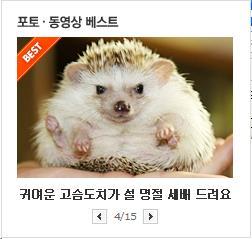솔바람네 고슴도치가 설명절 세배드립니다. ~~~