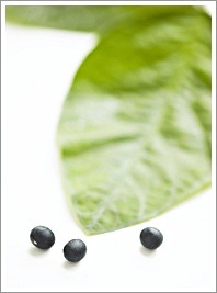 푸드조선 이미지
