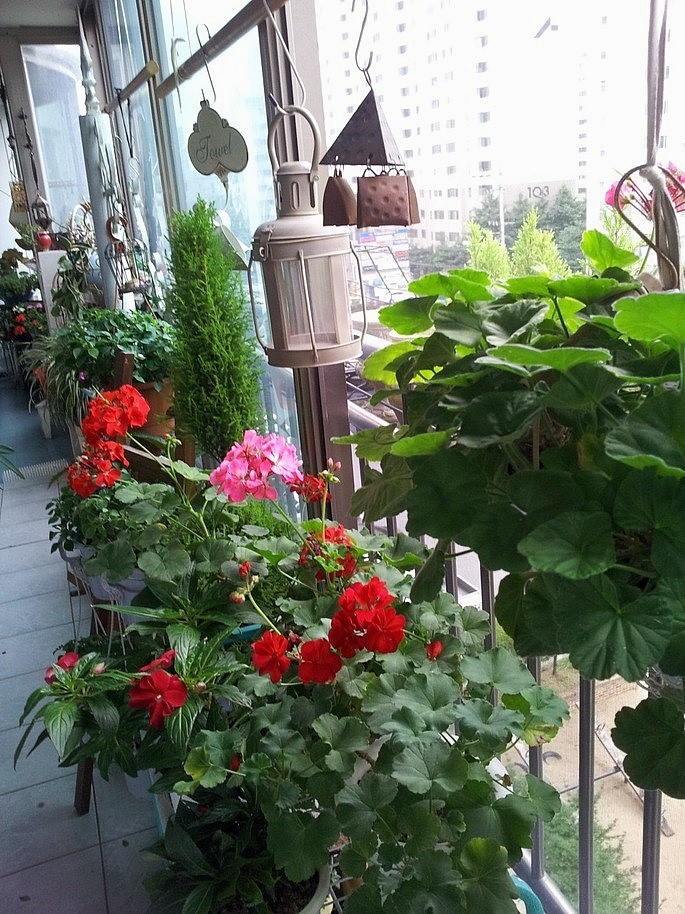 엄마방 이미지