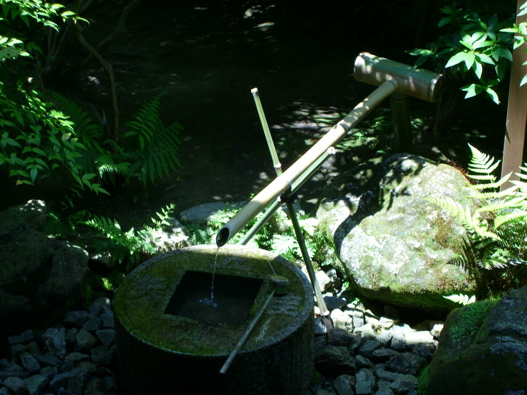젠(Zen) 이미지