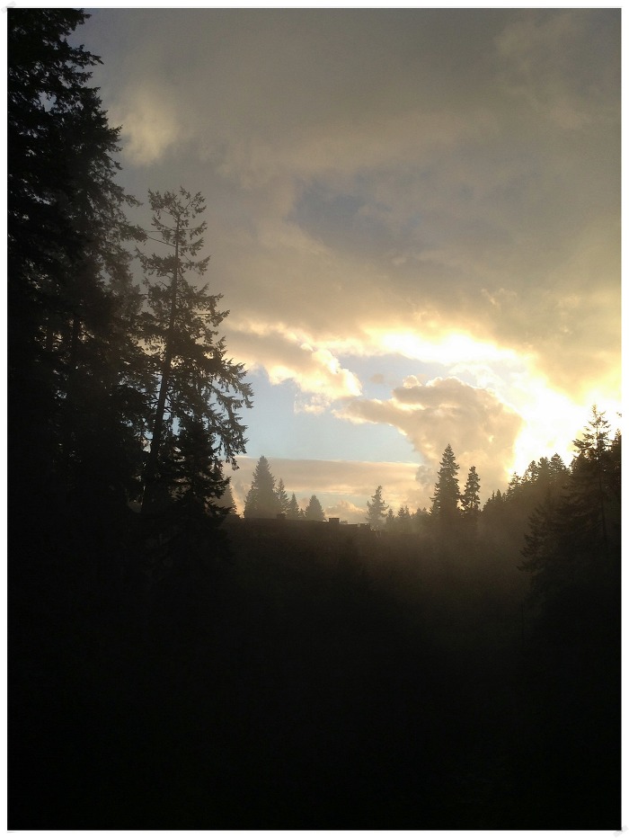 벤쿠버 카필라노 서스펜션 브릿지. 카필라노 다리.