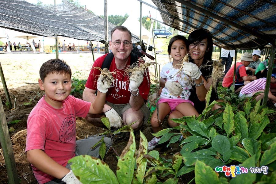 생명의고향 미래의 땅 금산군 제32회금산인삼축제 사전 홍보팸투어 - 여행블로거기자단
