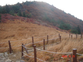실로암 이미지