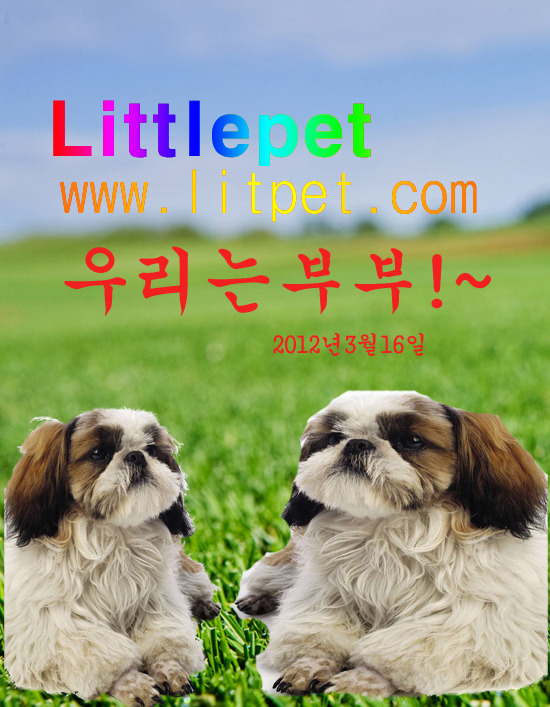 우리는,부붇한쌍이다!~~^^...