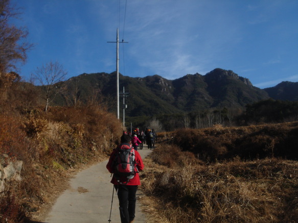 정장군 이미지