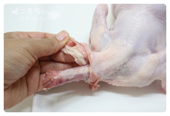 말복에 해먹은 여름 대표보양식.