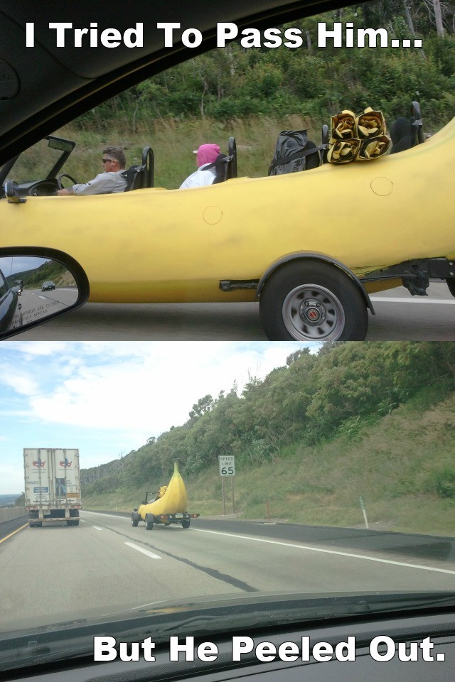 자동차생활 이미지