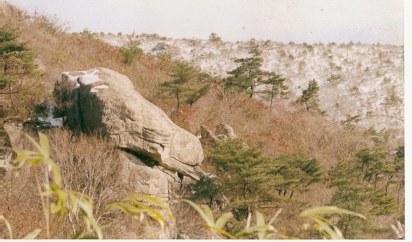 화실숲 이미지