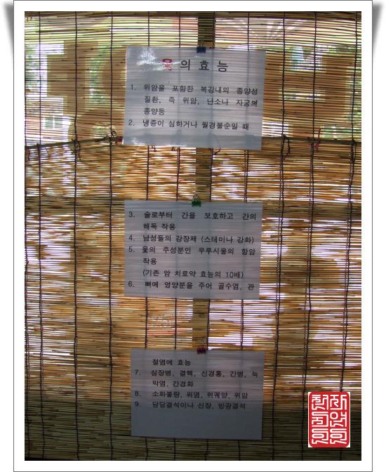옛날보신탕 이미지