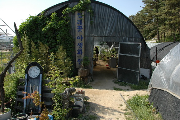 야생화농원 이미지