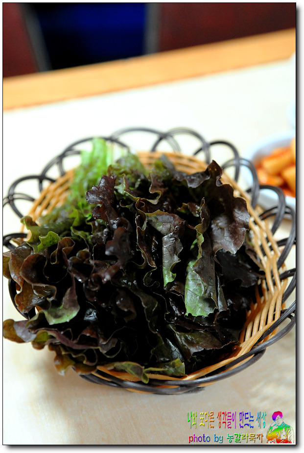 고기밥 이미지