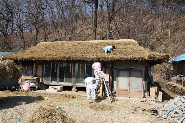 안터 이미지
