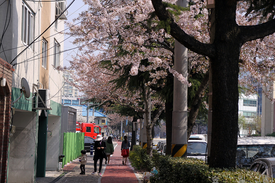 하나화원 이미지