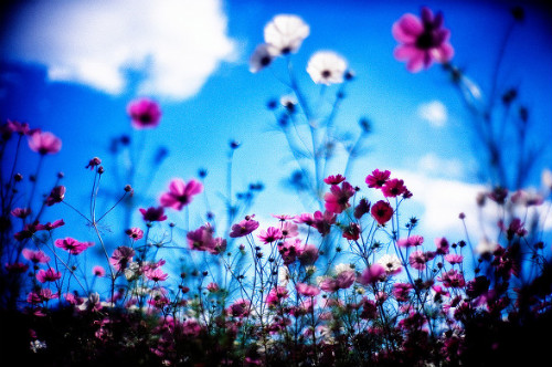 204B82194AD8BF020B3E2D