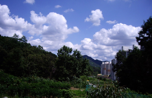 산불감시초소 이미지