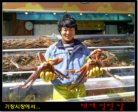 기장시장대게 이미지