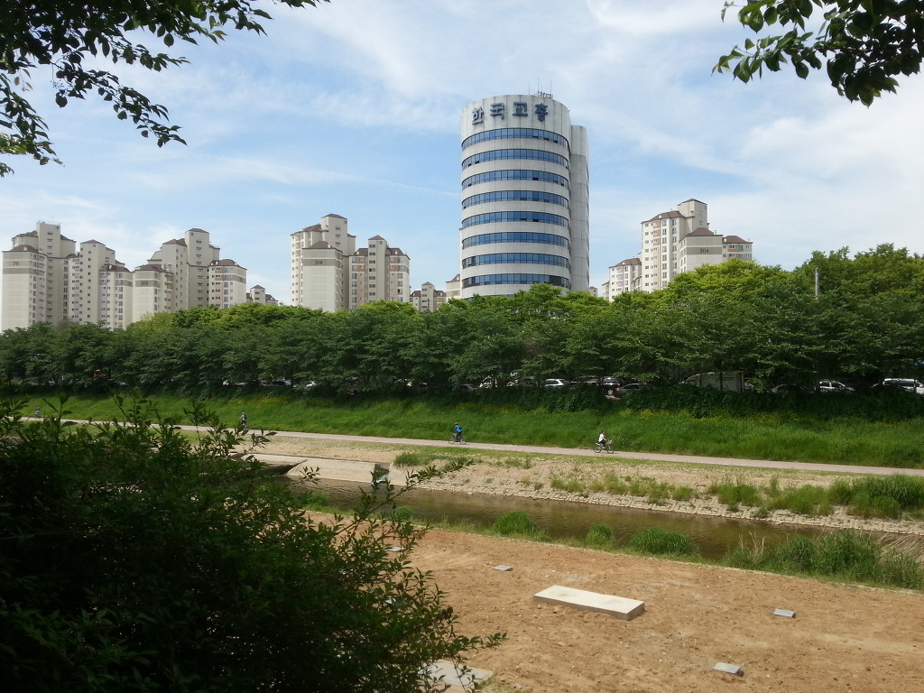 도곡동~양재천~과천대공윈산림욕장을 산책(2013년5월17일)