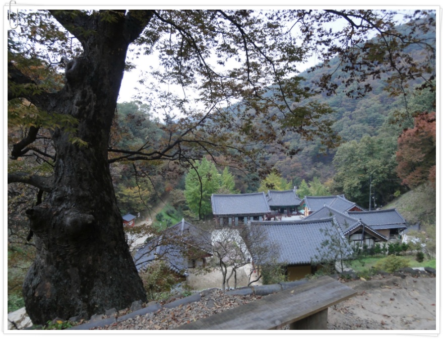 [충남 청양 칠갑산 가볼만한 곳] 장곡사 가을여행 - 상, 하 두 개의 대웅전이 있는 천년고찰
