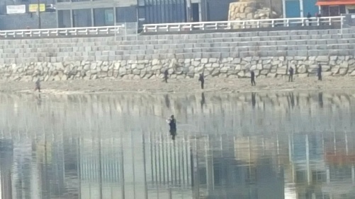 개나리도 피고 금호강물도 돌아오고~~