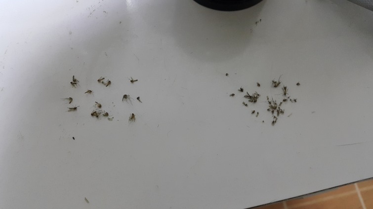 2126404B596368DB14871D