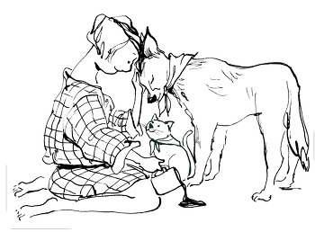 개, 고양이 암을 대하는 우리의 자세