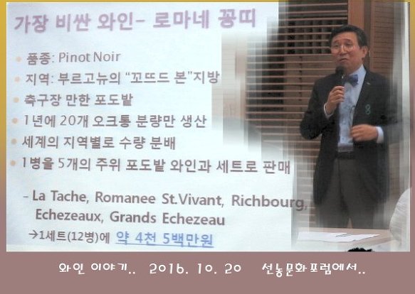 와인이야기 이미지
