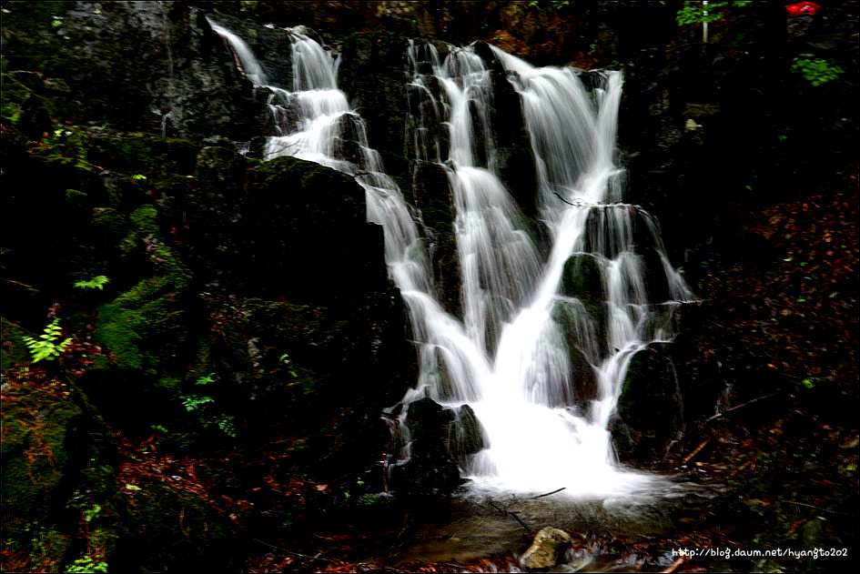 천도교 수도회 제2차 수련 이미지
