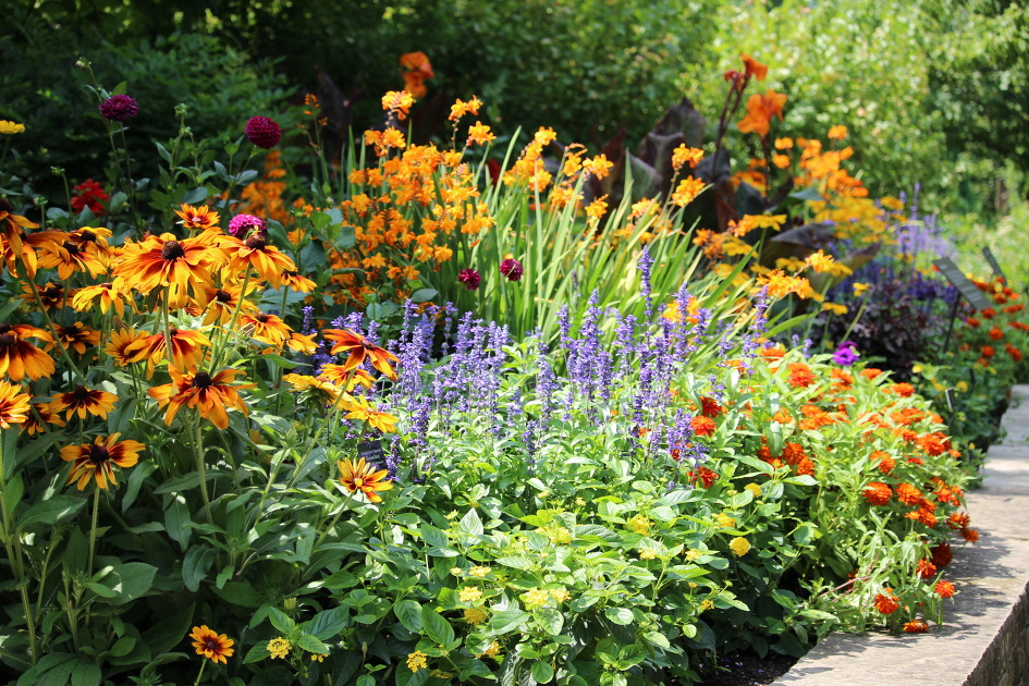 [시카고 보타닉가든/분재전시장] 전후좌우 분재전시장을 중심으로 꽃길과 호숫길을 거닐다.