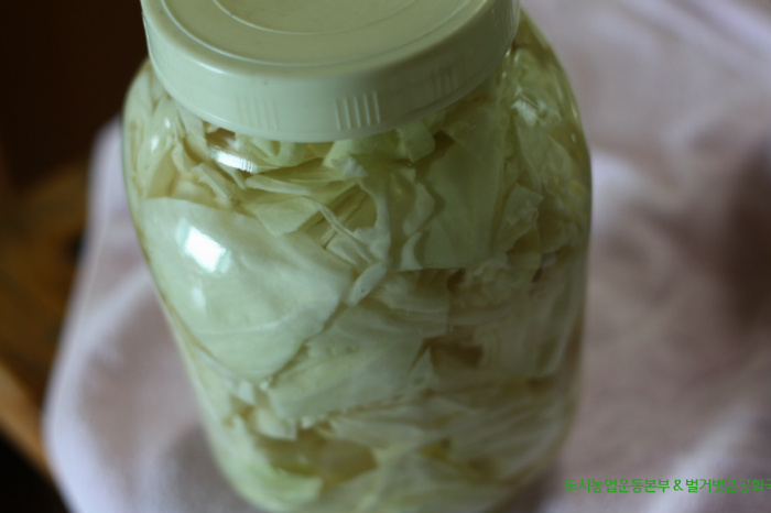 농부가 만드는 자연유기농 양배추 피클