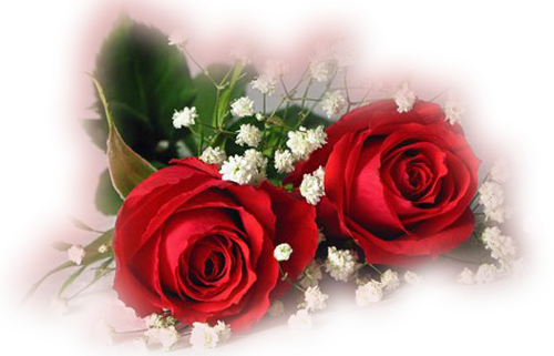2203225051FC4EA73B4AF7
