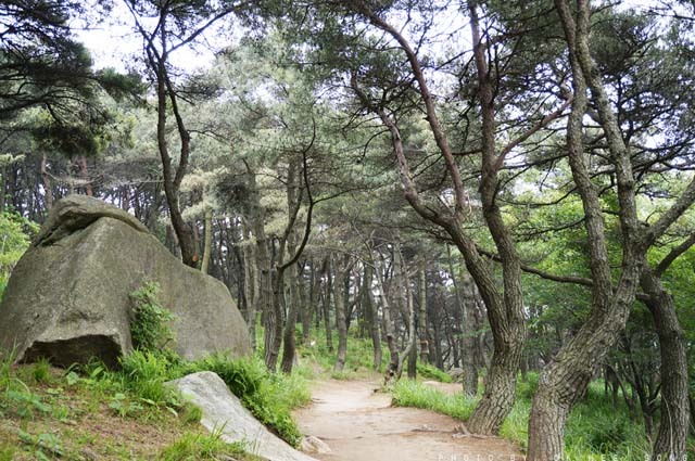 산성큰 이미지