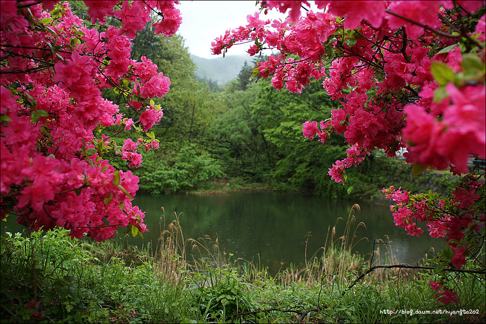천도교 수도회 제2차 수련 이미지