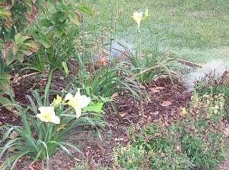 2342064A595FDB5D1D996D