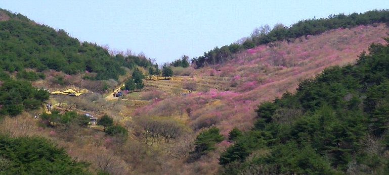 236A2D41552B22D10B2D1D