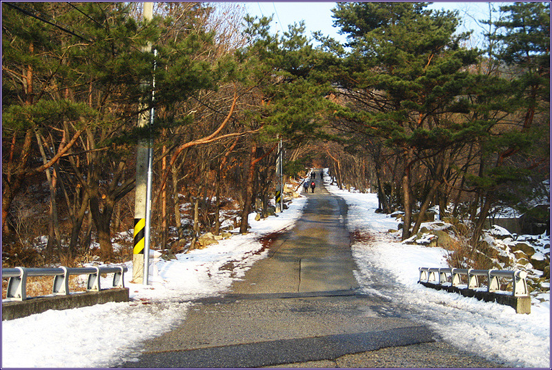 제일자전차 이미지
