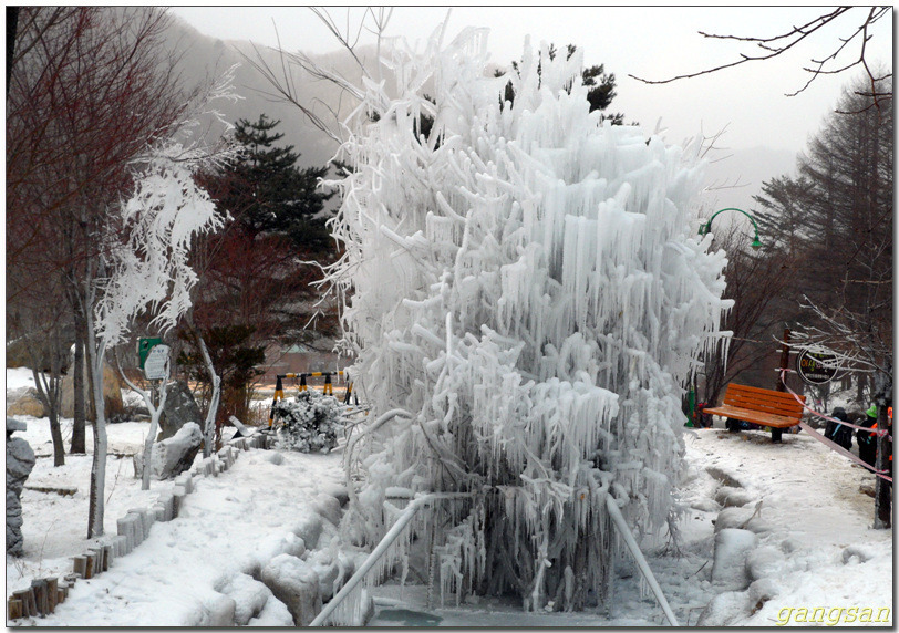 올 겨울 눈산행은 어디로.../겨울 눈산행지