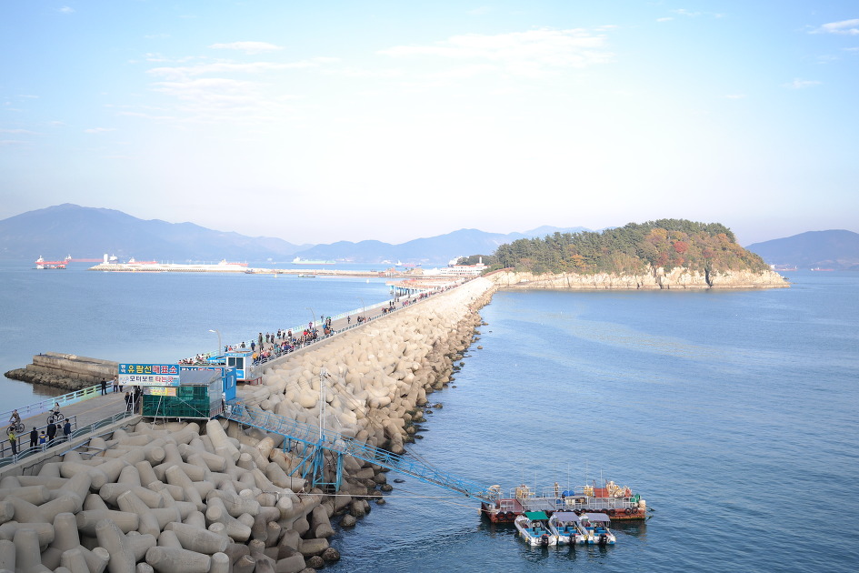 오동도 이미지