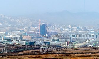 개성공단 입주기업 "헌법소원"제기에 대한 소고