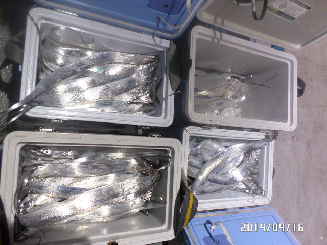 251E8F33541793FB051650